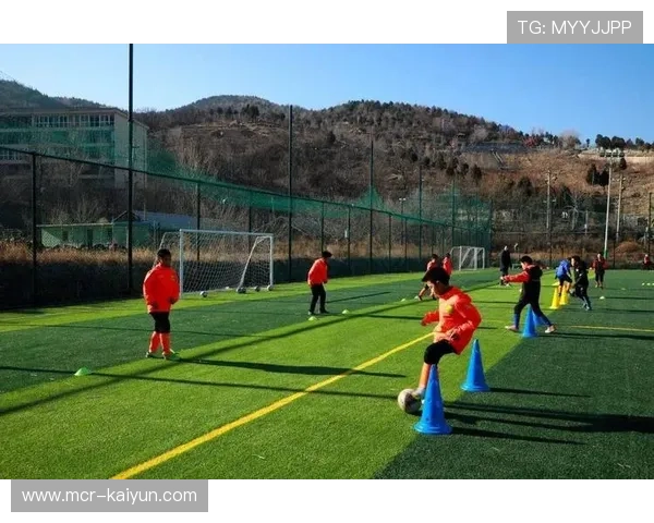 市场主体通过引入敏捷研发规程 缩短了体育活动管理在多场景的适配周期 市场主体通过引入敏捷研发规程 缩短了体育活动管理在多场景的适配周期